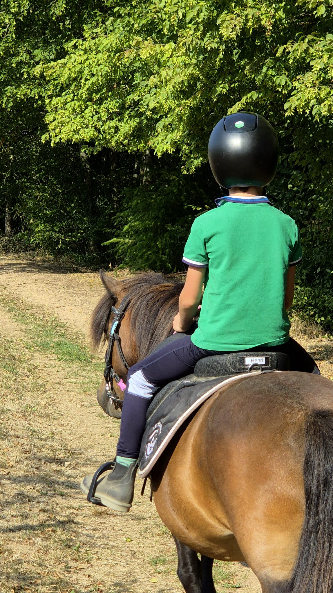 Balade en forêt avec un enfant