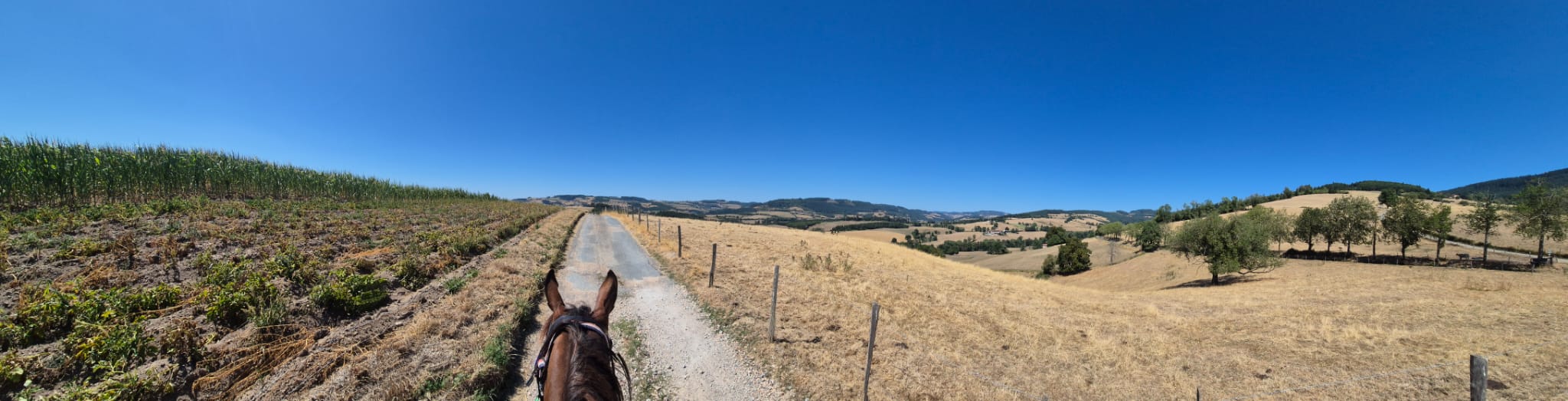 Balade à cheval