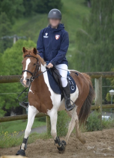 Jeune cavalier en concours