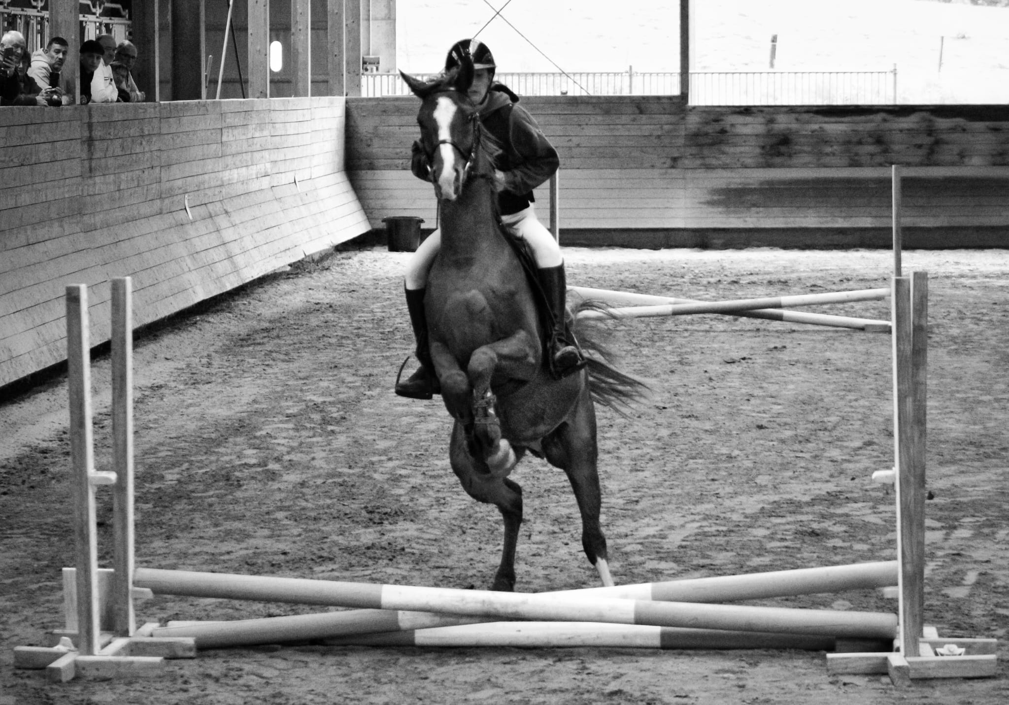 Saut d'obstacle en concours