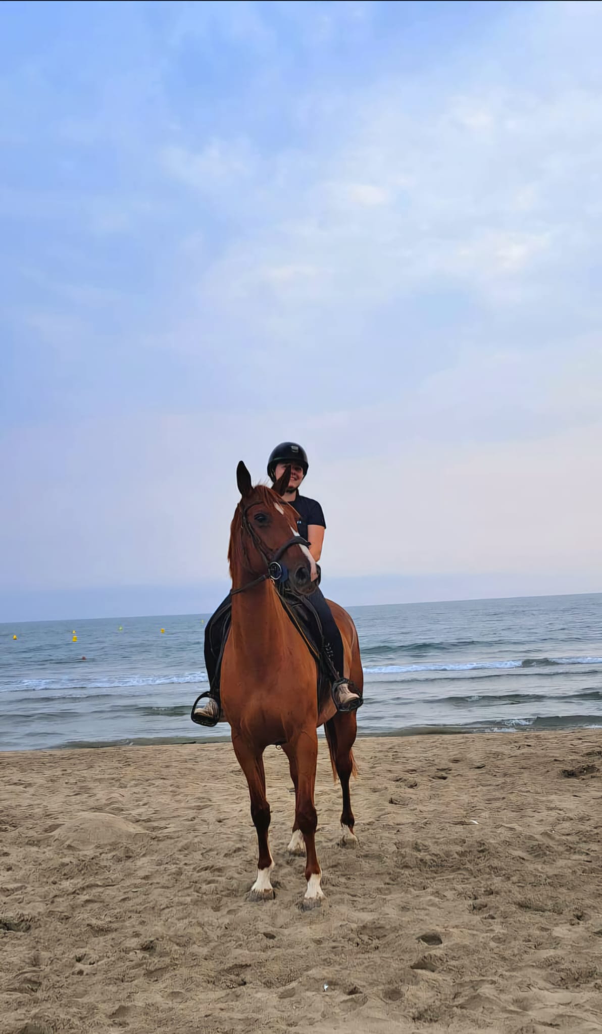 Écurie familiale : cavalière de mère en fille