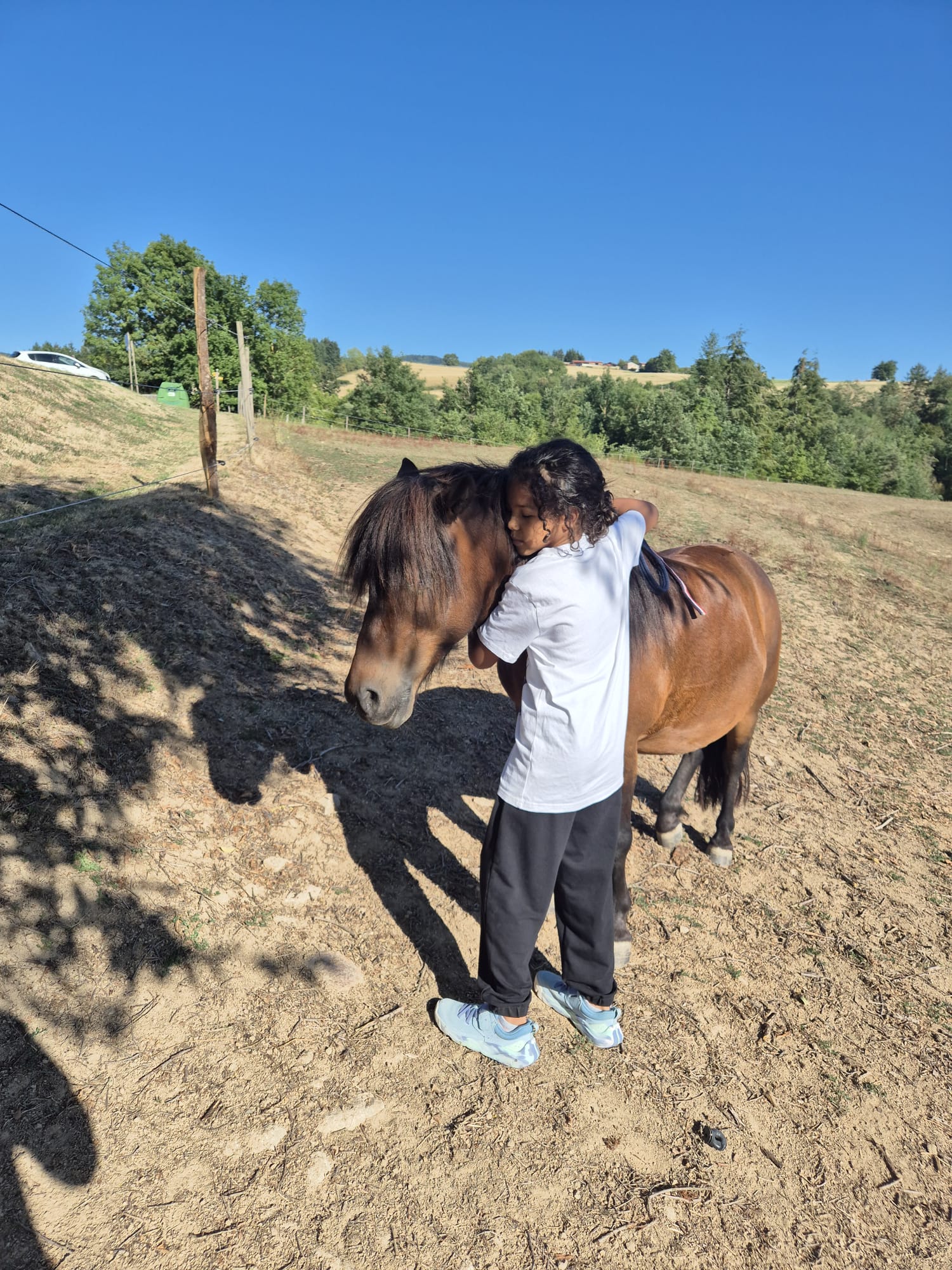 Câlin à un poney pendant un stage