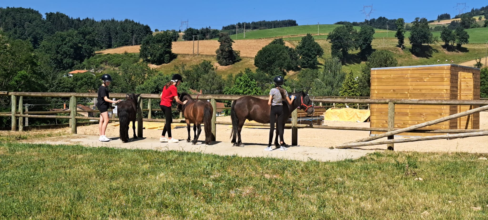 Groupe d'enfants prenant soin des poneys